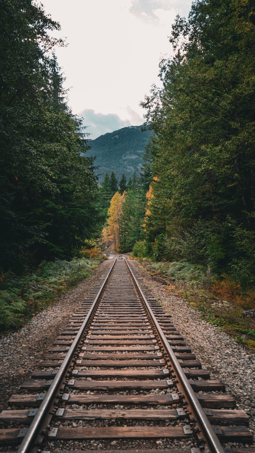 A railway line running straight through dense forest towards a forested mountain in British Columbia.