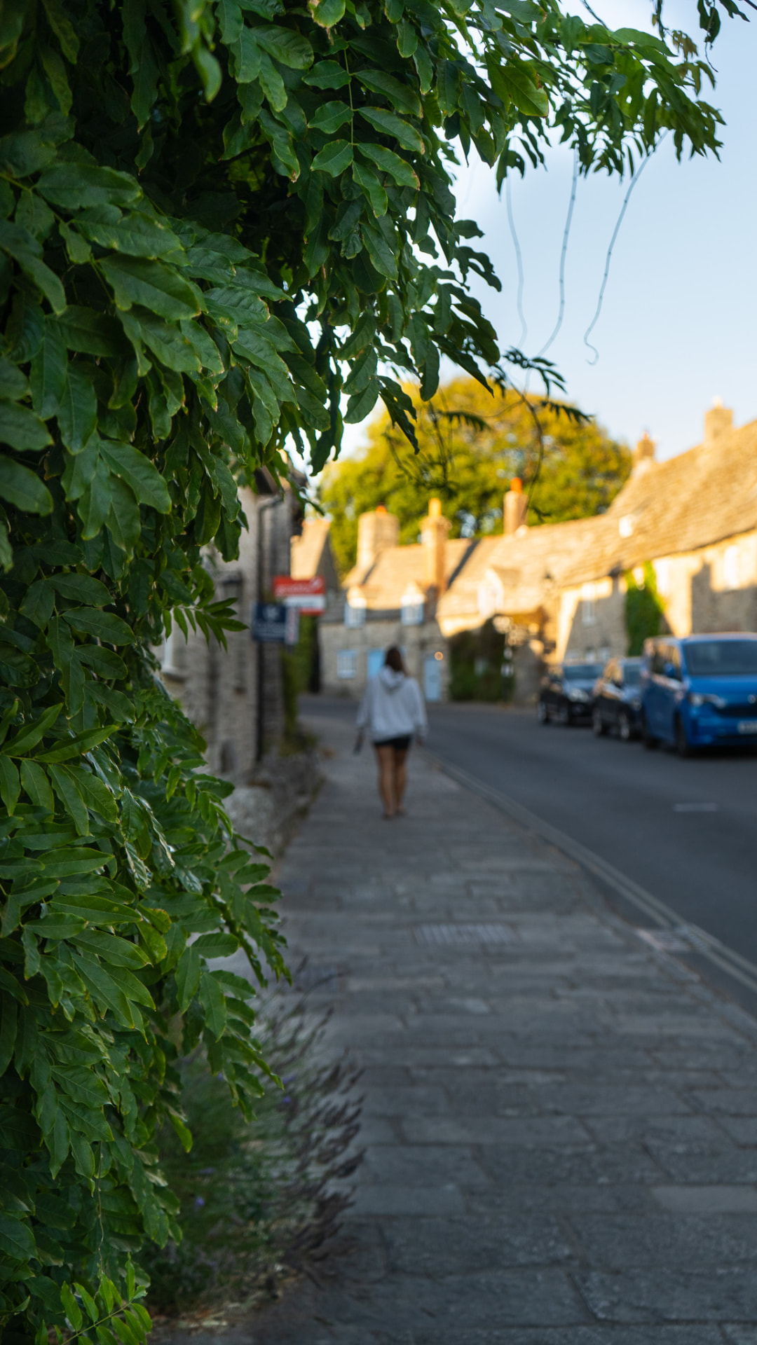 A wisteria-covered wall framing a stone village street at golden hour in Dorset.