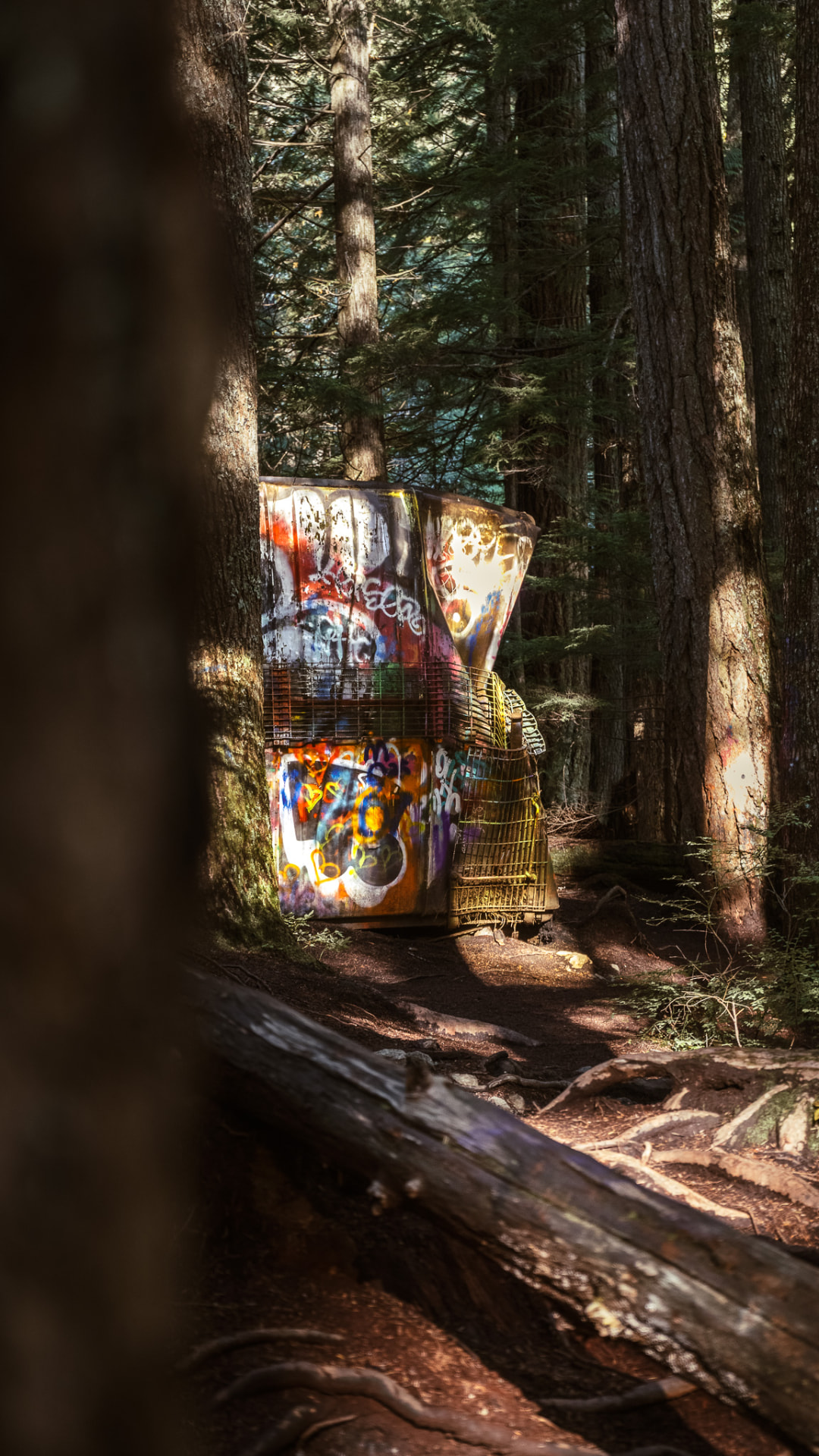 A painted wrecked rail car glimpsed through trees on the Train Wreck trail.