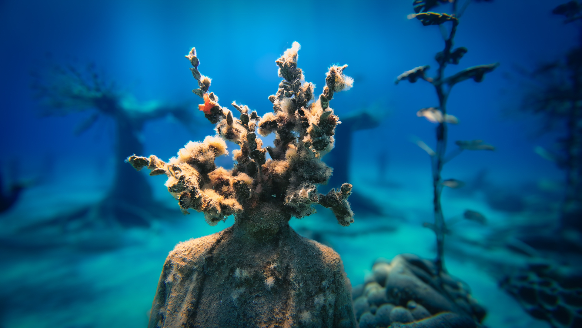 Close-up of a sculpture's head crowned by branching growth against deep blue water.