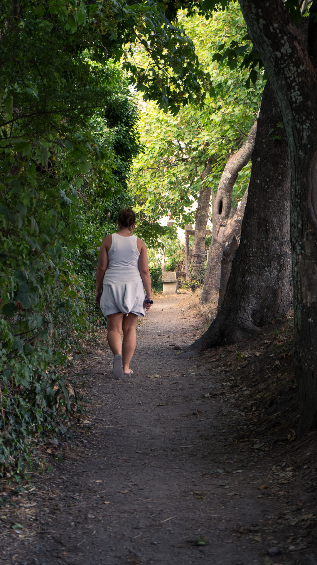 A walker on a shaded dirt footpath beneath old trees.