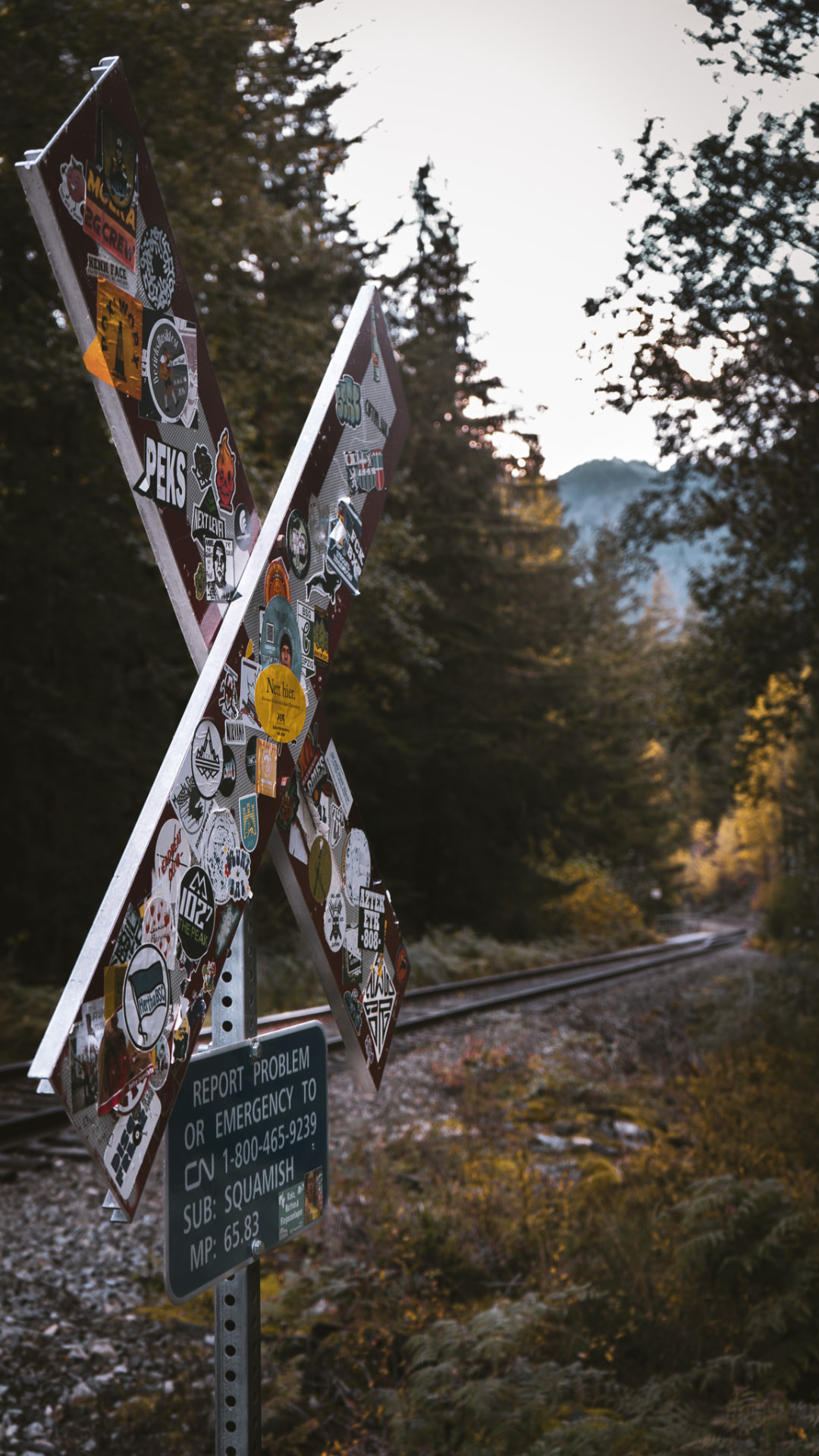 The sticker-covered crossing sign on the trail into Train Wreck