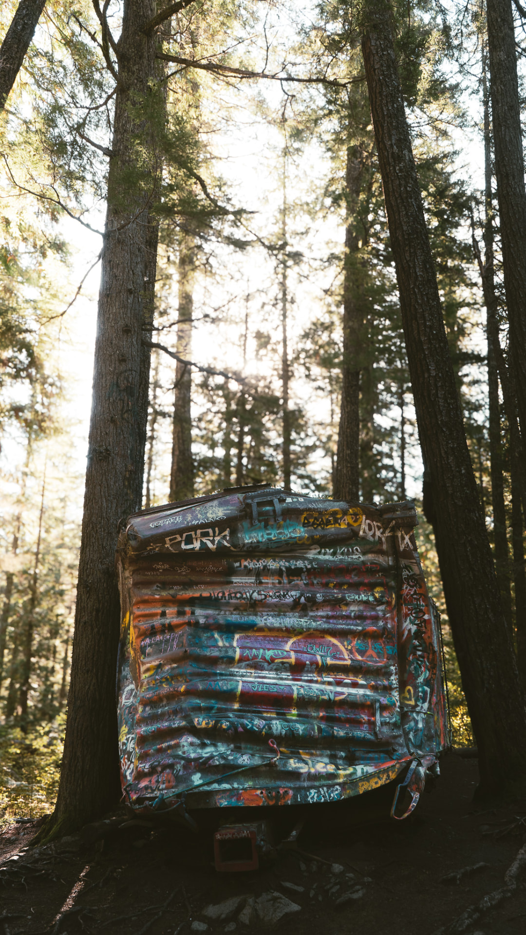 One of the graffiti-covered rail cars at Train Wreck, Whistler