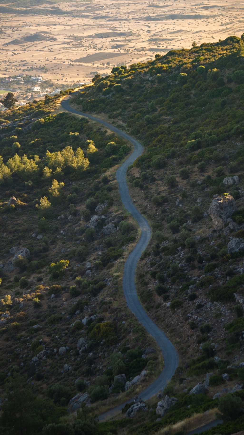 A single ribbon of road curling down a green hillside towards a wide, sun-baked plain.
