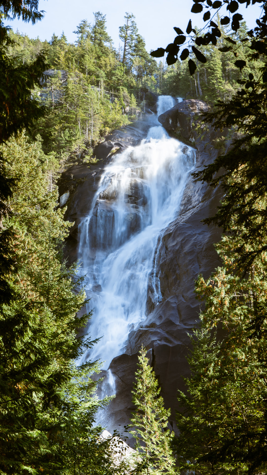 Shannon Falls tumbling down a granite cliff framed by dense forest.