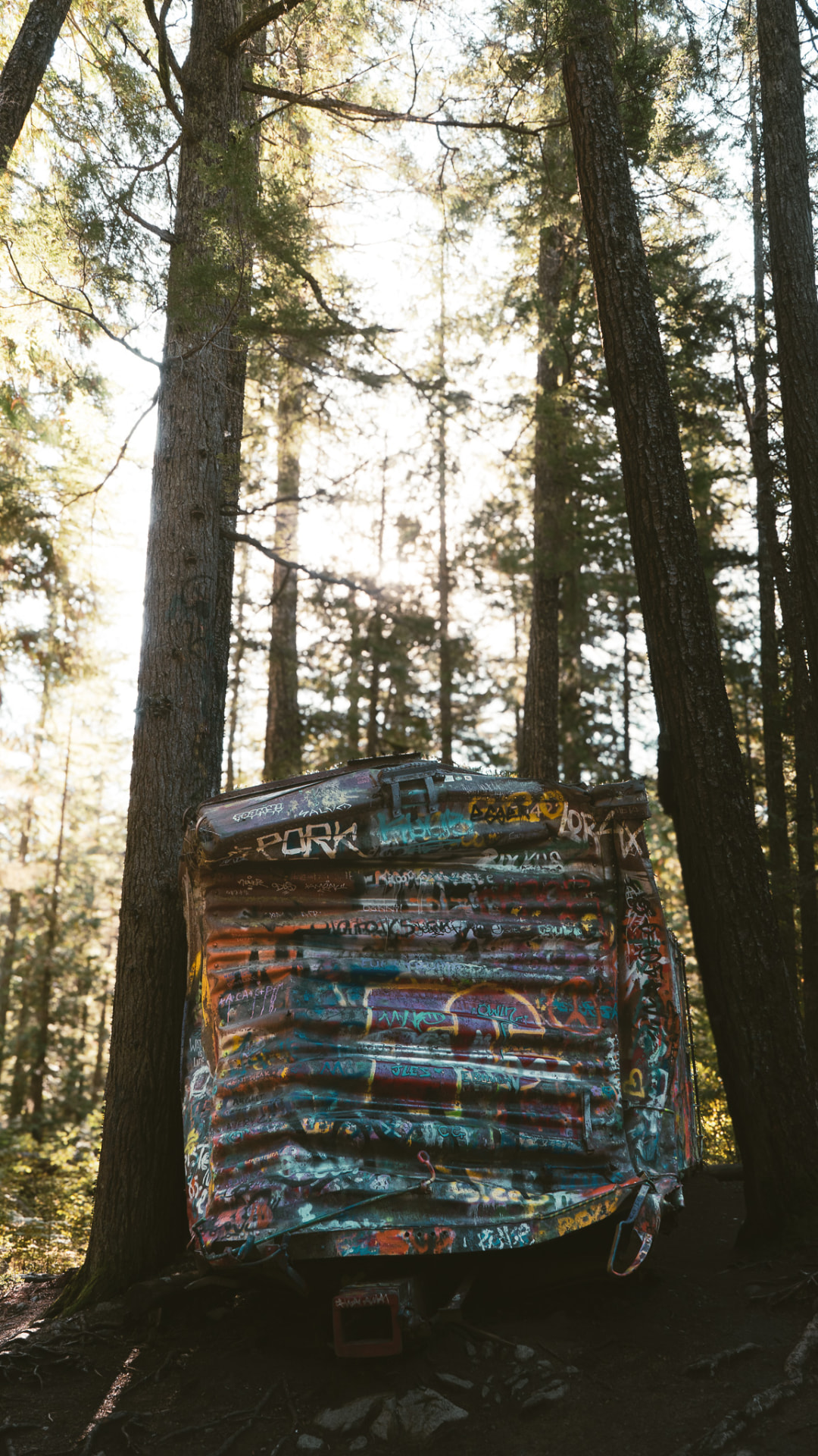 A graffiti-covered derailed rail car standing among tall forest trees.